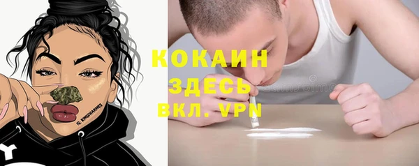 дживик Волоколамск