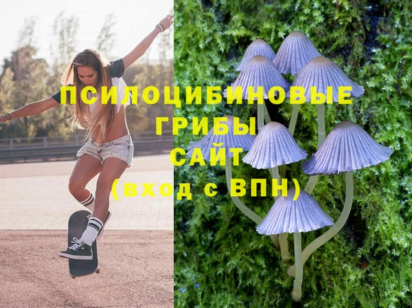 сатива Бронницы