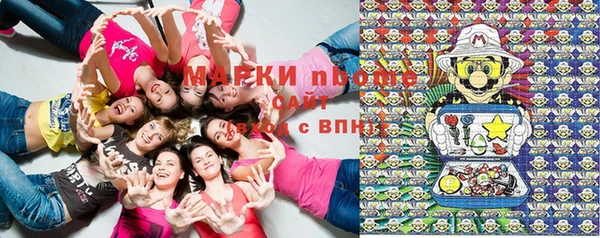 прущие грибы Бородино
