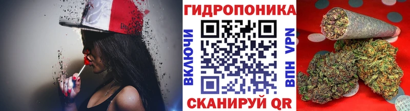 купить наркотики цена  blacksprut ссылки  МАРИХУАНА White Widow  Елабуга 